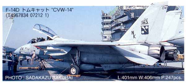 1/48 F-14D Tomcat CVW-14