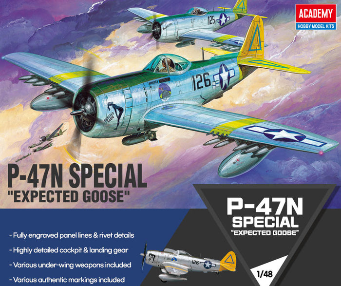 1/48 P-47N Special "Expected Goose"