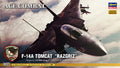 1/72 Ace Combat F-14A Tomcat "Razgriz"
