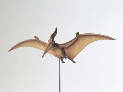 1/35 Pteranodon
