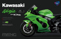 1/9 Kawasaki ZX-10RR (Pre-colored Edition)