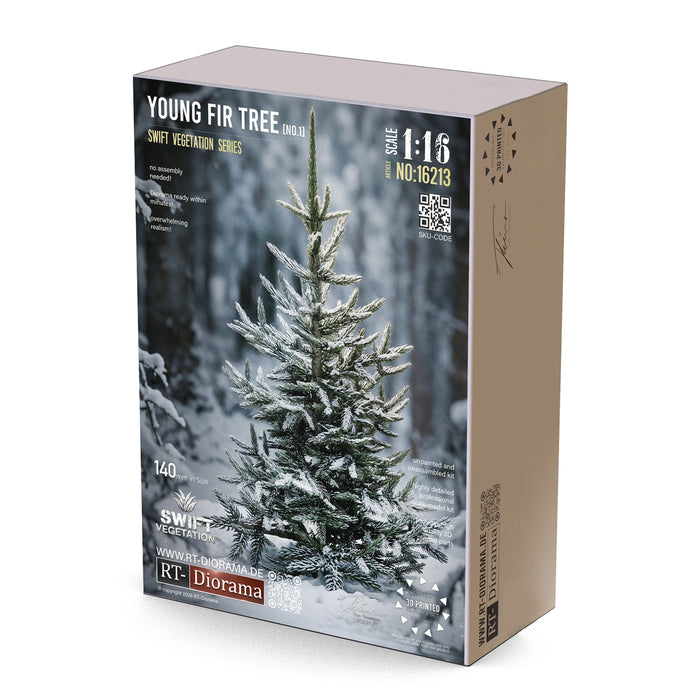 Young Fir Tree [No.1]