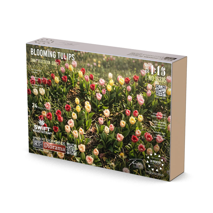 Blooming Tulips
