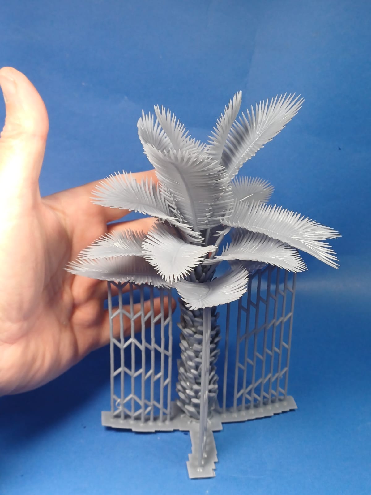 Palme 13 cm