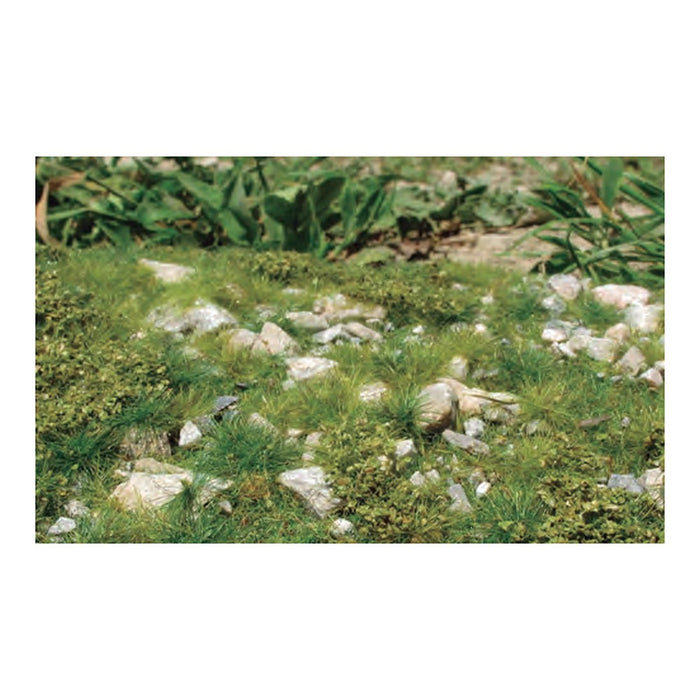 Wild Meadow Ground