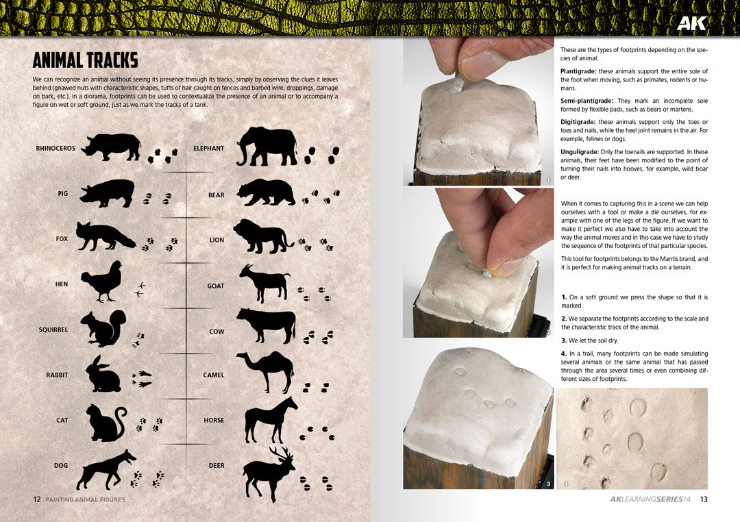 AK Learning 14 Painting Animal Figures English