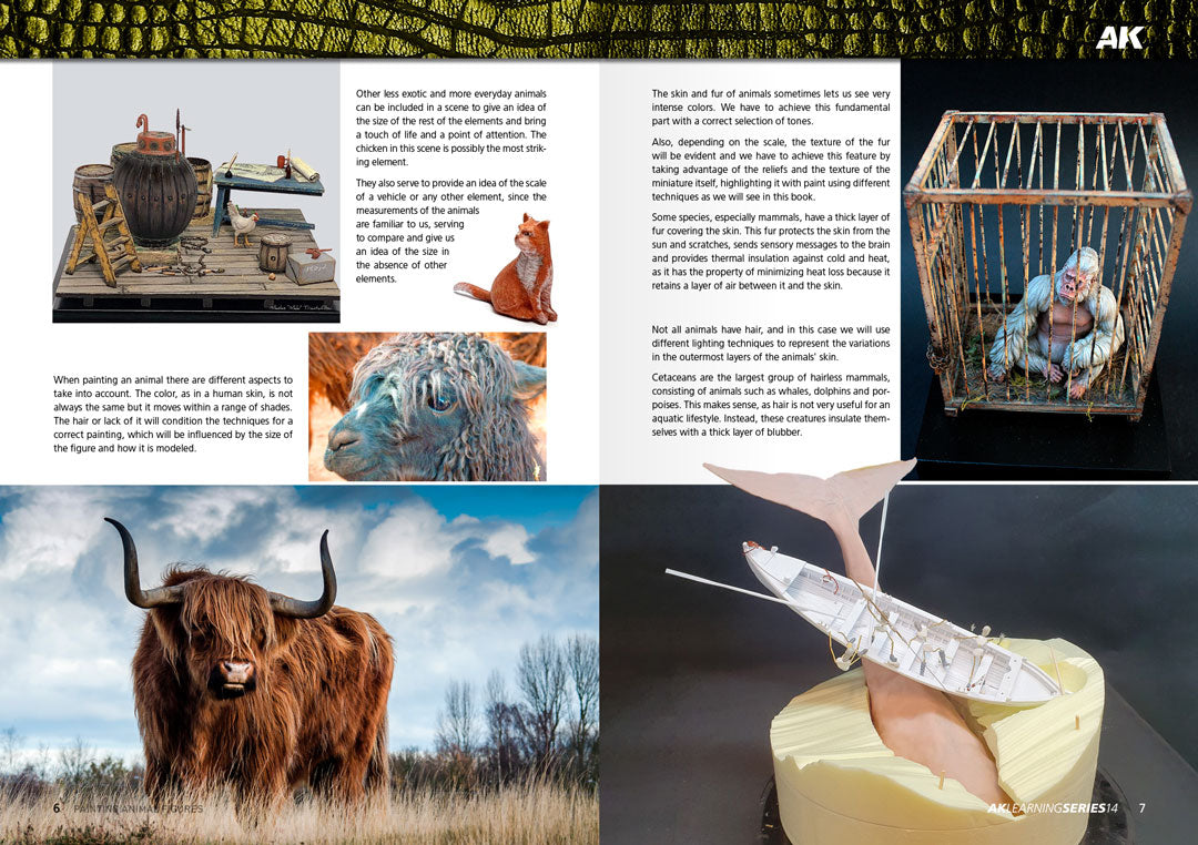 AK Learning 14 Painting Animal Figures English