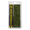 Platane Foliage Summer Tuft