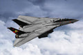 1/144 F-14B Tomcat