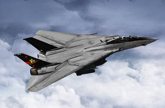 1/144 F-14B Tomcat