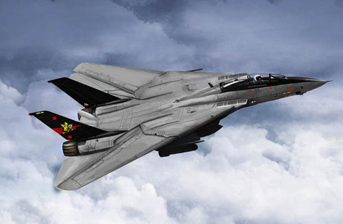 1/144 F-14B Tomcat