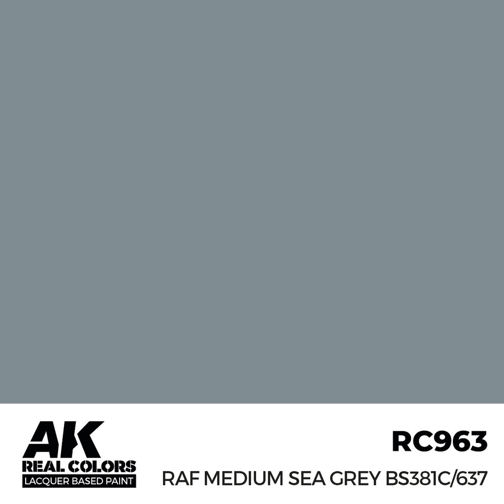 RAF Medium Sea Grey BS381C/637 17ml