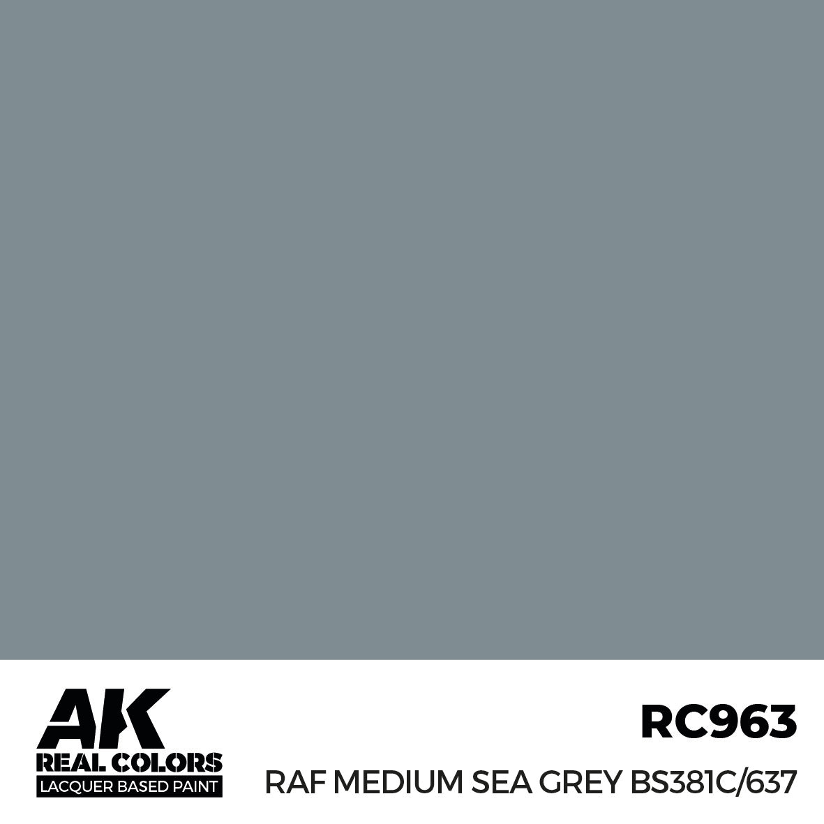 RAF Medium Sea Grey BS381C/637 17ml