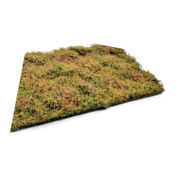 Wilderness Fields with bushes - late summer