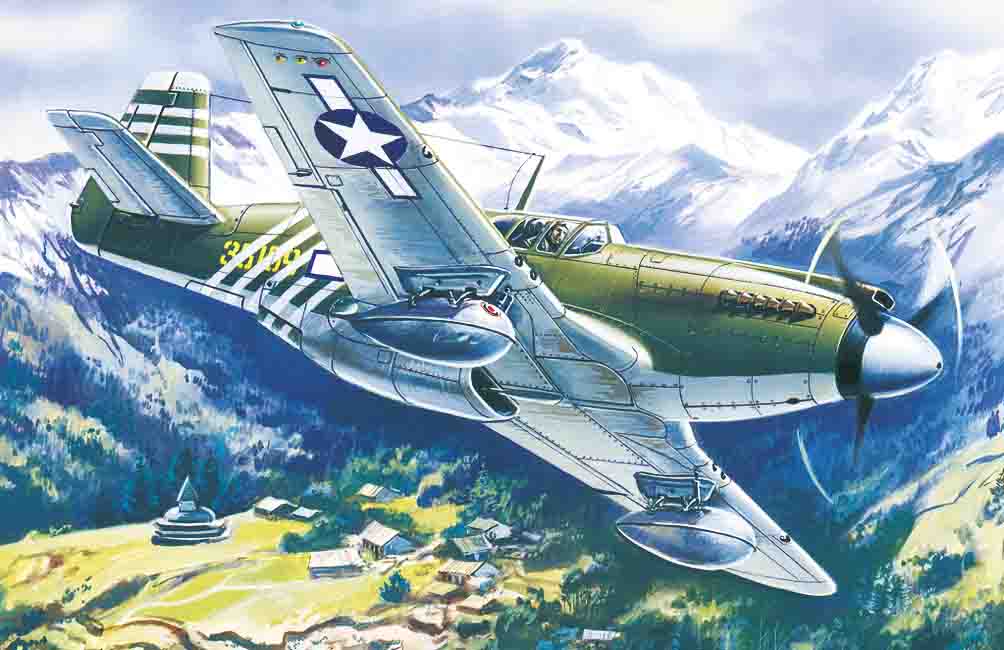 1/48 Mustang P-51A WWII American Fighter