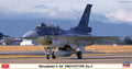 1/48 Mitsubishi F-2B "Prototype No.4"