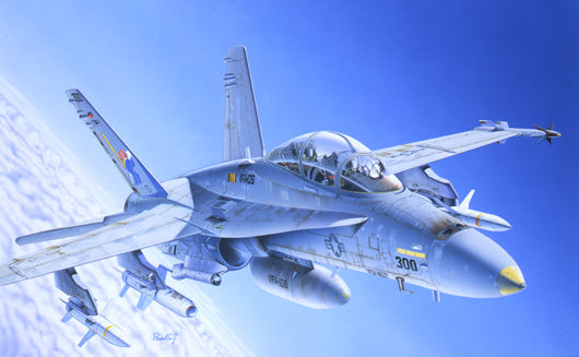 1/72 F/A-18 Wild Weasel C/D