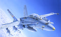 1/72 F/A-18 Wild Weasel C/D