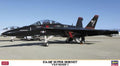 1/72 FA-18F Super Hornet VX9 Vandy 1