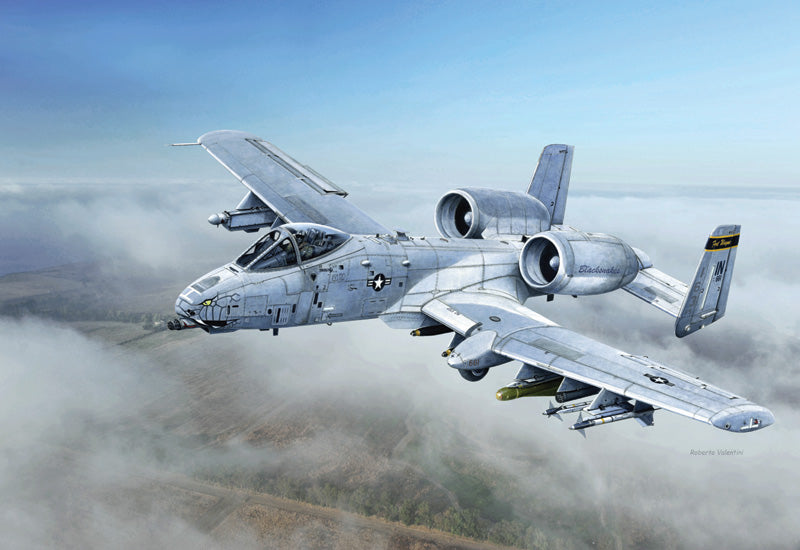 1/48 A-10C "Blacksnakes"