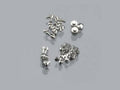 1/12 Honda RC166 Rivet Set