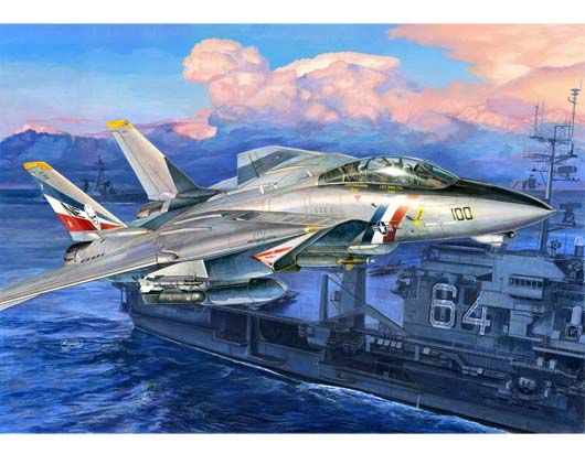 F-14D Super Tomcat
