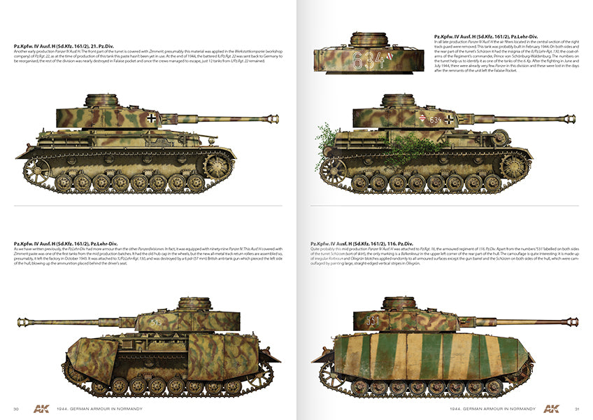 1944 German Armour In Normandy  Camouflage Profile Guide - English