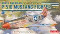 1/48 North American P-51D Mustang Fighter
