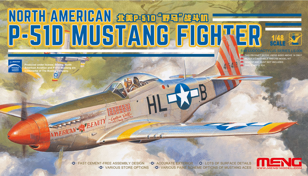 1/48 North American P-51D Mustang Fighter