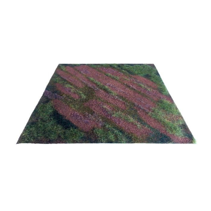 Airfield Spring