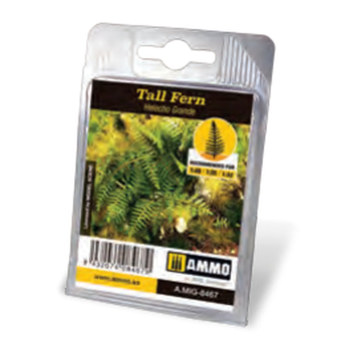Tall Fern