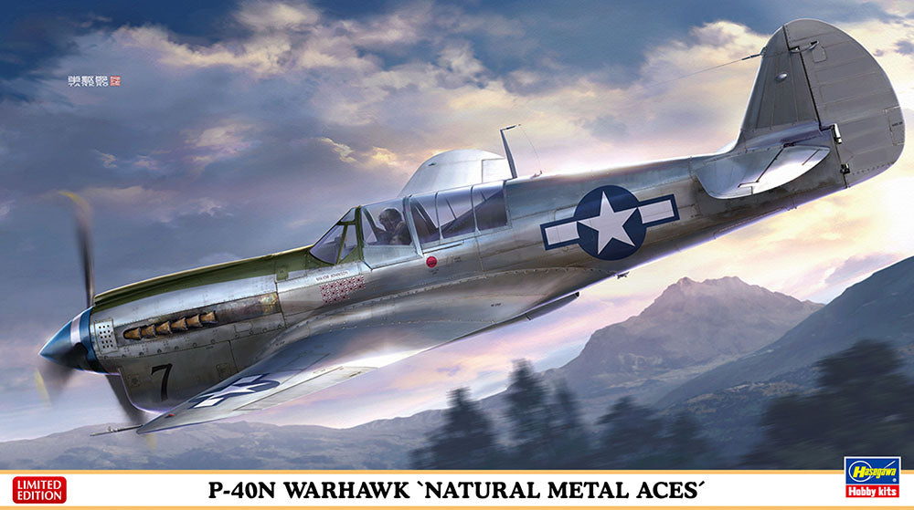 1/48 P-40N Warhawk "Natural Metal Aces"