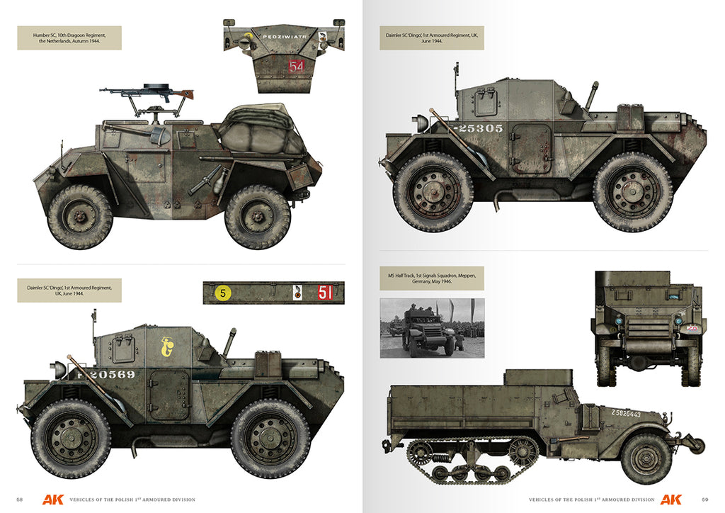 Vehicles Of The Polish 1st Armoured Division (Camouflage Profile Guide) English