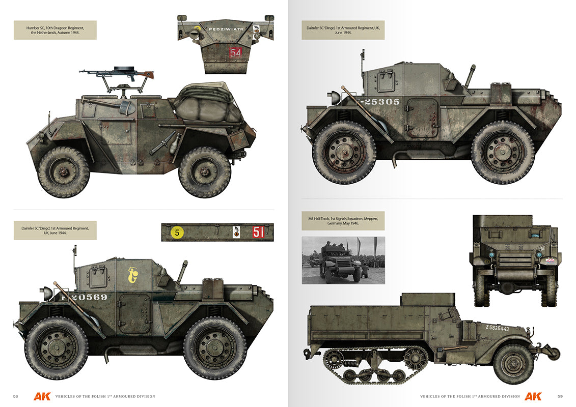 Vehicles Of The Polish 1st Armoured Division (Camouflage Profile Guide) English