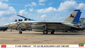 1/72 F-14D Tomcat "VF-213 Blacklions Last Cruise"