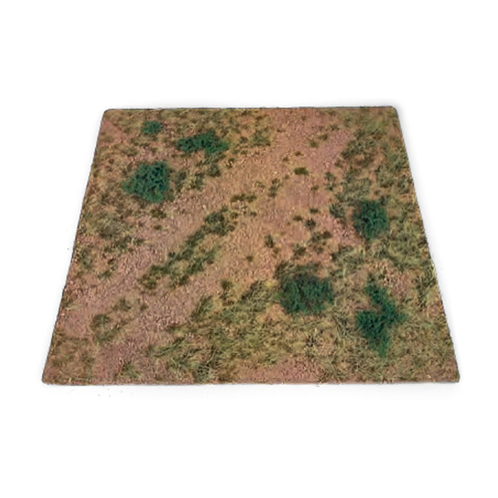 Dry Summer Grassland