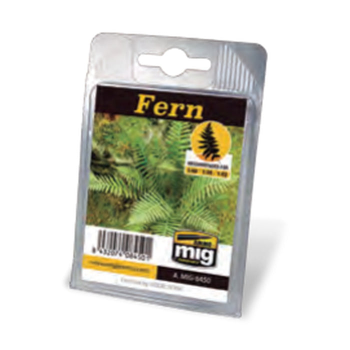 Fern