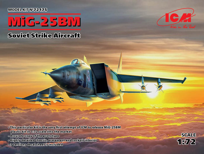 1/72 MiG-25 BM Soviet Strike Aircraft