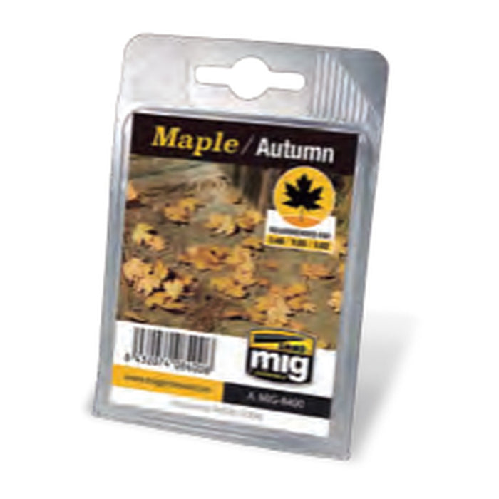 Maple - Autumn