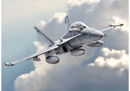 1/48 F/A-18D