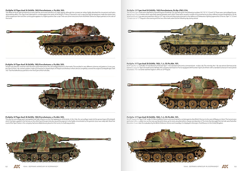 1944 German Armour In Normandy  Camouflage Profile Guide - English
