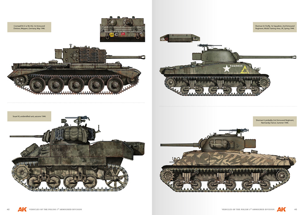 Vehicles Of The Polish 1st Armoured Division (Camouflage Profile Guide) English
