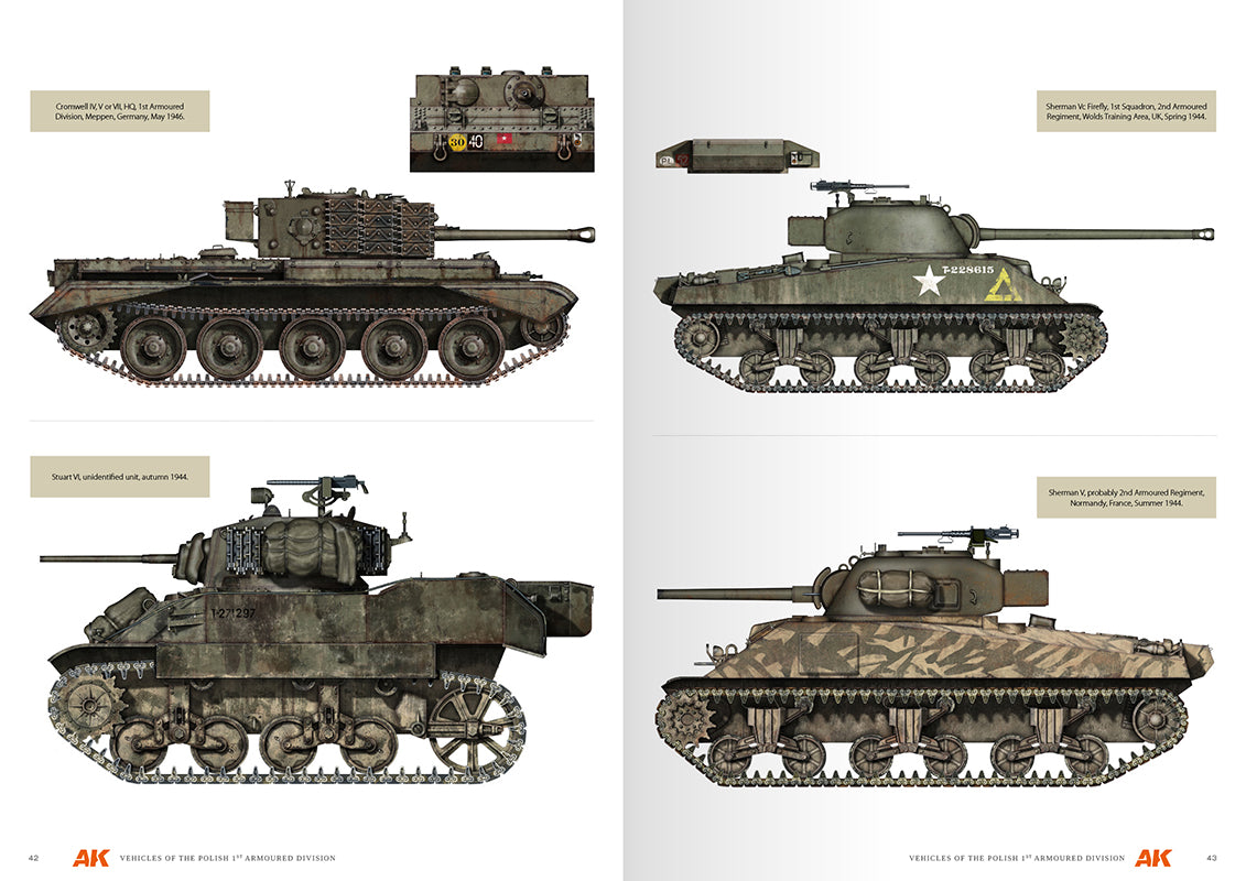 Vehicles Of The Polish 1st Armoured Division (Camouflage Profile Guide) English
