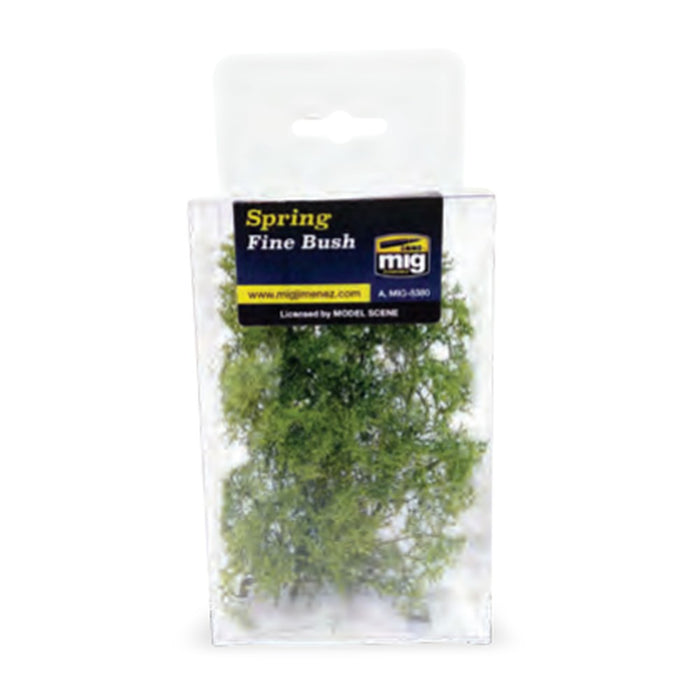 Fine Bush ? Spring