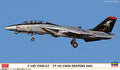 1/72 F-14D Tomcat "VF-101 Grim Reapers 2002"