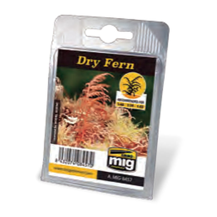 Dry Fern