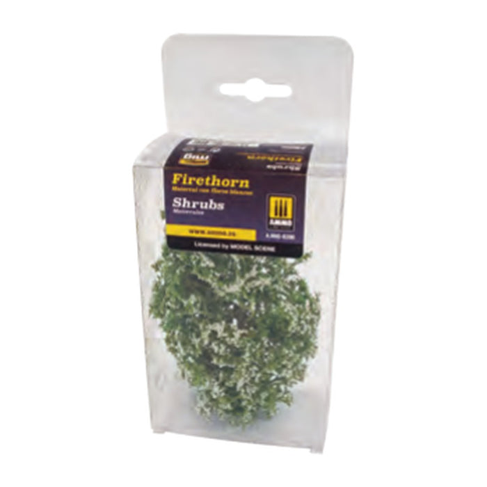 Shrubs ? Firethorn