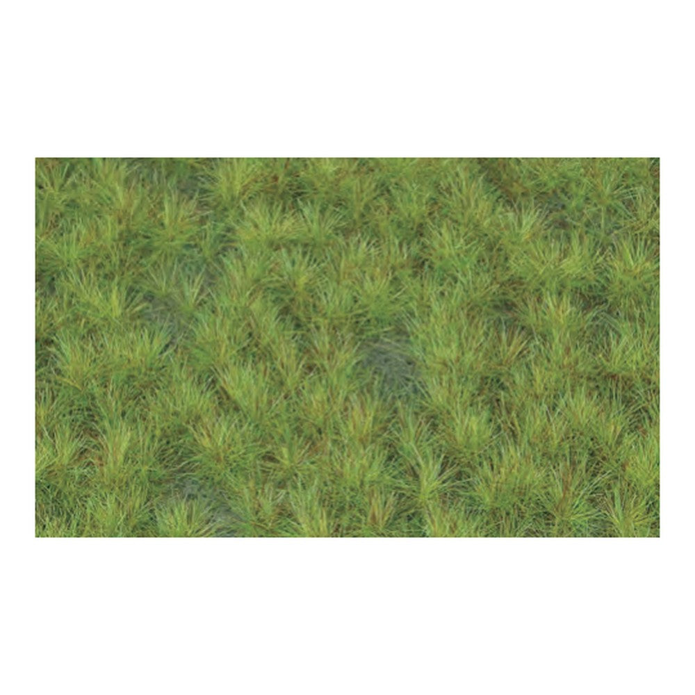 Stony Mountain Ground