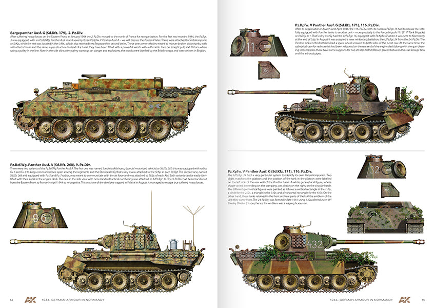 1944 German Armour In Normandy  Camouflage Profile Guide - English