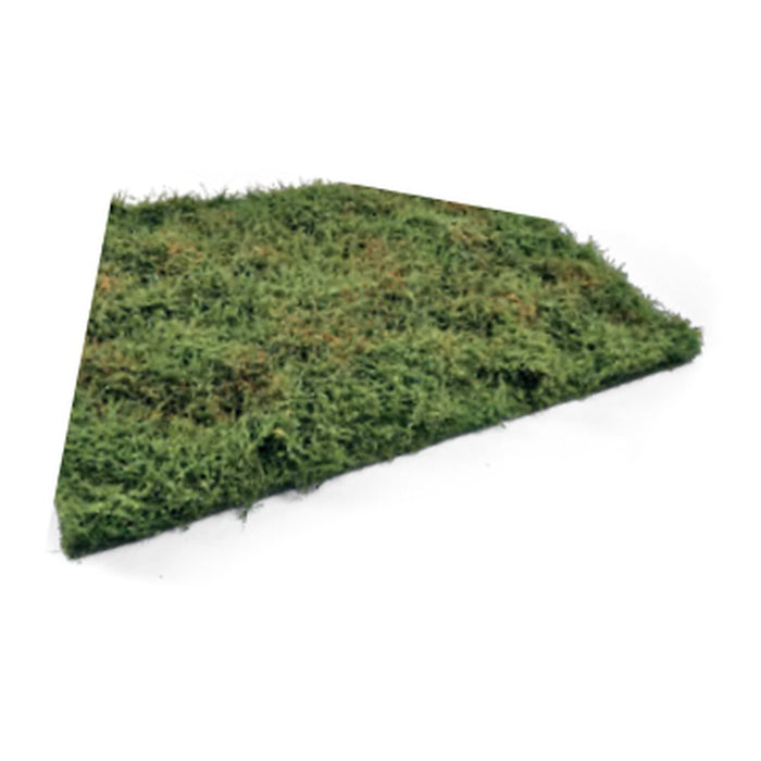 Wilderness Fields with bushes - early summer
